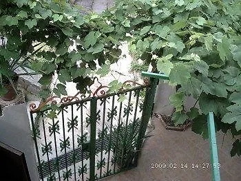 Il Sentiero 게스트하우스